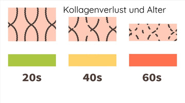 Alles, was Sie über Kollagen-Peptide wissen sollten - Vitalitaet 360