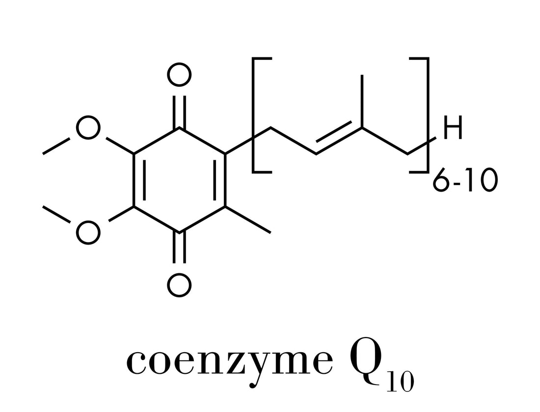 Coenzym Q10 (CoQ10) - Vitalitaet 360