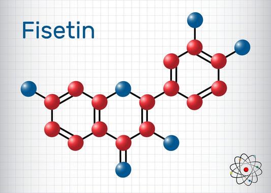Fisetin Flavonoid - Vitalitaet 360