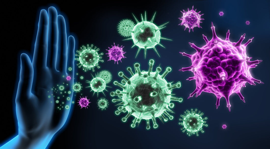 Stärkung des Immunsystems - Vitalitaet 360